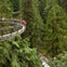 Malahat Skywalk