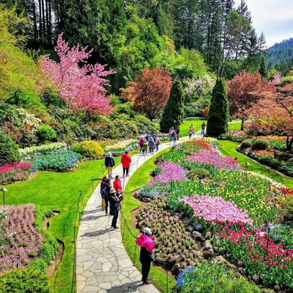 A vibrant garden with colorful flowerbeds, a winding stone path, and visitors walking among blooming trees and greenery.