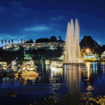 Los Angeles Echo Park: Swan Boats Rental