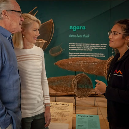 Australian Museum: Entry + Waranara First Nations Guided Tour