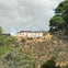 Hollywood