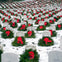 Arlington National Cemetery