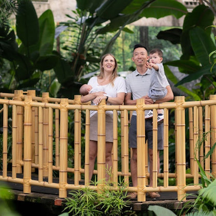 Bloedel Conservatory