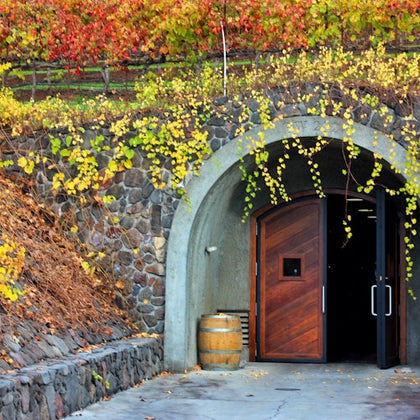Half Day Wine Tasting from San Francisco