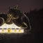 Empire of Wild - Canadian Opera Company
