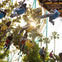 People enjoying a colorful teacup ride at an amusement park, with smiling riders and decorative surroundings.