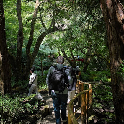 Victoria & Butchart Gardens: Day Trip from Vancouver