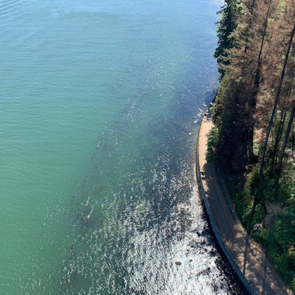 View of Stanley Park Seawall.