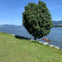 Biking along Vancouver's Waterfront.