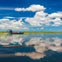 An alligator and boat in the Florida everglades