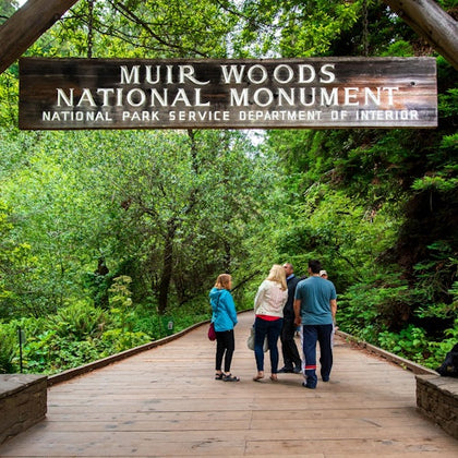 From San Francisco: Muir Woods & Sausalito Morning Tour