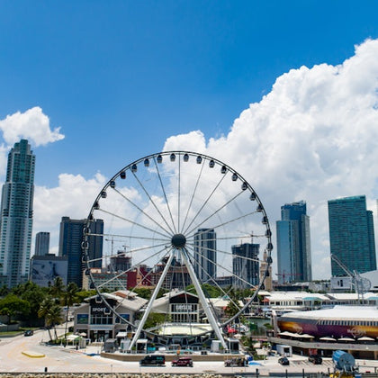 Skyviews Miami Observation Wheel: Entry Ticket