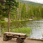 A rustic wooden bench by a calm forest lake surrounded by tall green trees and water plants under a cloudy sky.