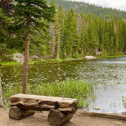 A rustic wooden bench by a calm forest lake surrounded by tall green trees and water plants under a cloudy sky.