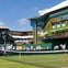 Wimbledon Tennis