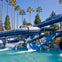 A water park with blue water slides, a pool at the bottom, and palm trees in the background under a clear sky.