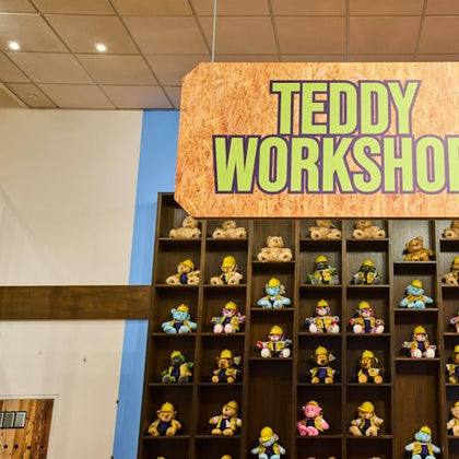 Teddy Workshop