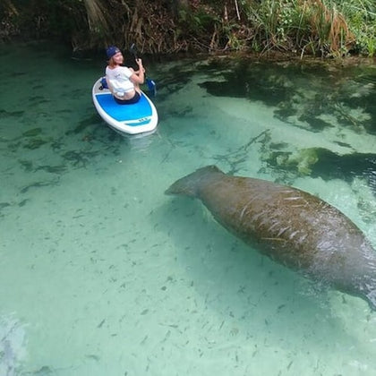 Paddleboard with manatee