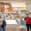 T-Rex encounter!