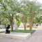 view of Sculpture Garden 