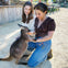 Feed the Kangaroos at Sydney Zoo