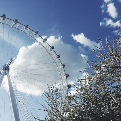 Tootbus London: 2-Hour Panoramic Express Tour