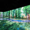 An immersive digital art installation showcasing a vibrant forest scene projected onto walls and floor.