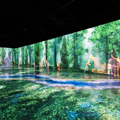 An immersive digital art installation showcasing a vibrant forest scene projected onto walls and floor.