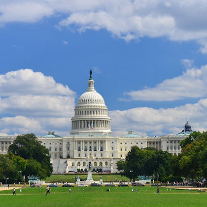 Washington D.C.