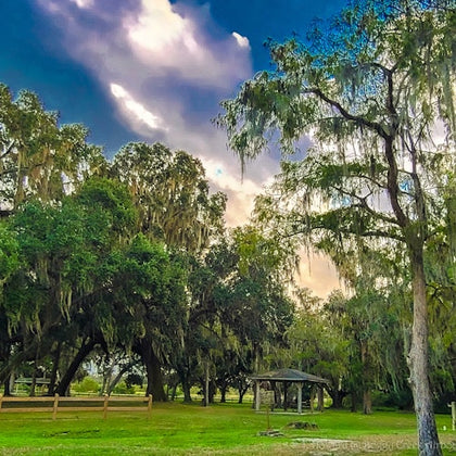 Park scene with large trees draped in Spanish moss, wooden fence, grassy area, and a small gazebo under a partly cloudy sky.