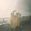 A group on a viewing platform at the Journey Behind the Falls Experience, posing for a photo with Horseshoe Falls behind them