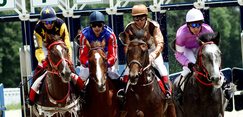 Kings Plate