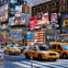 Broadway Shows and Live Theater
