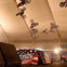 Nitro Circus Live