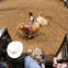 PBR - Unleash the Beast Parking