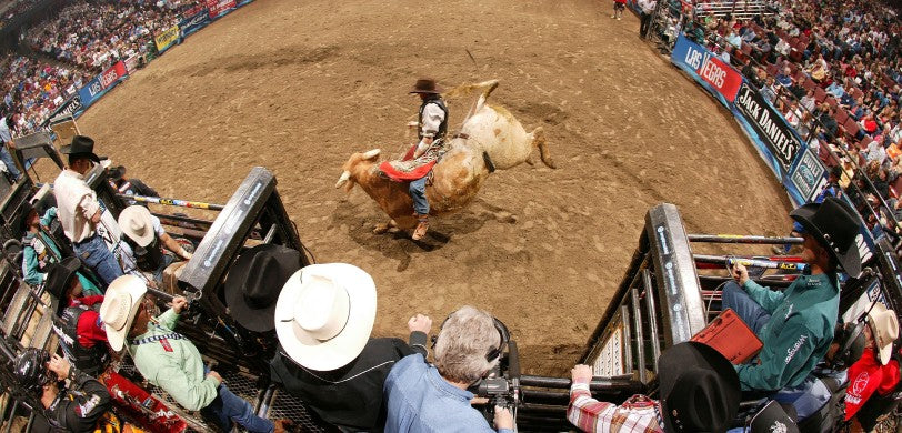 PBR - Team Series