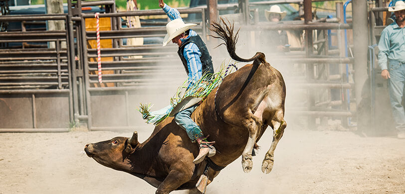 Stockyards Championship Rodeo